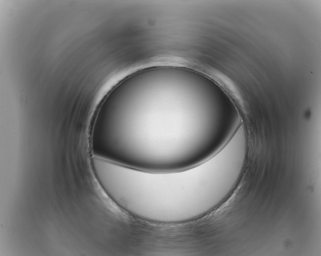 X0000092231192200709140935