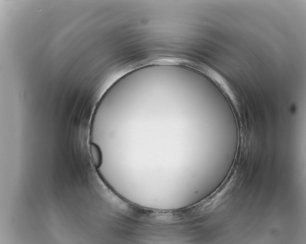 X0000092231194200709140935