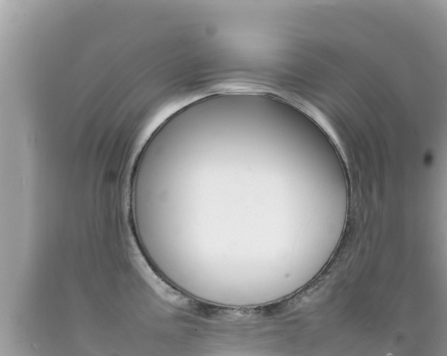 X0000092231195200709140935