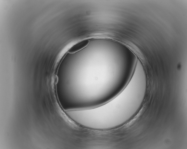 X0000092231196200709140935