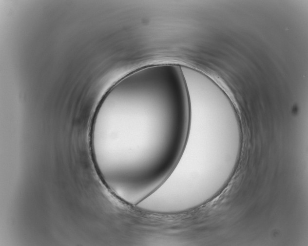 X0000092231197200709140935