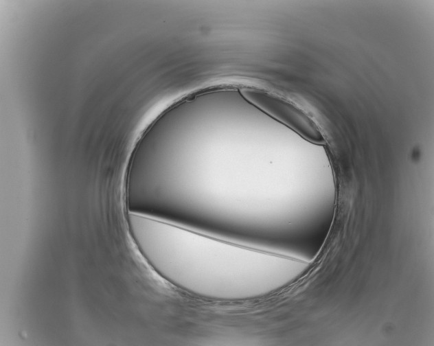 X0000092231199200709140935