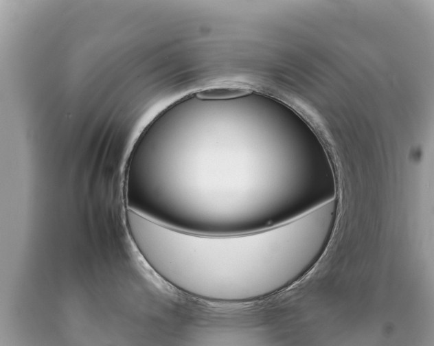 X0000092231200200709140935