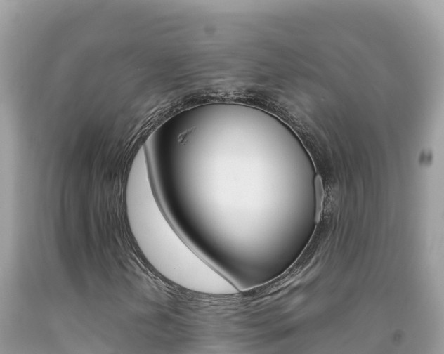 X0000092231202200709140935