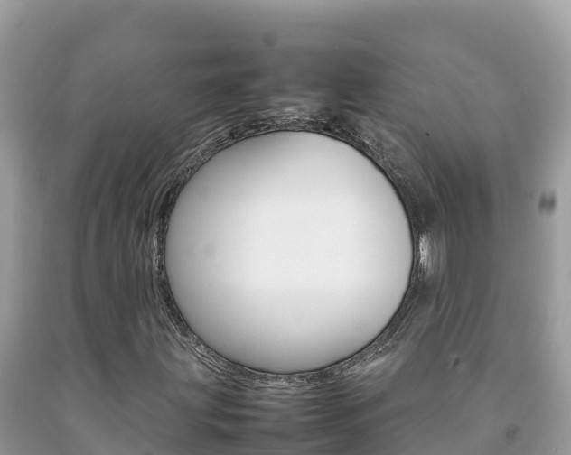 X0000092231203200709140935