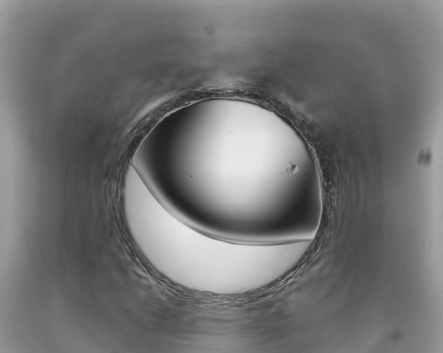 X0000092231206200709140935