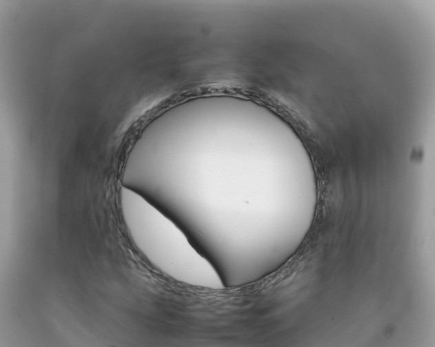 X0000092231207200709140935