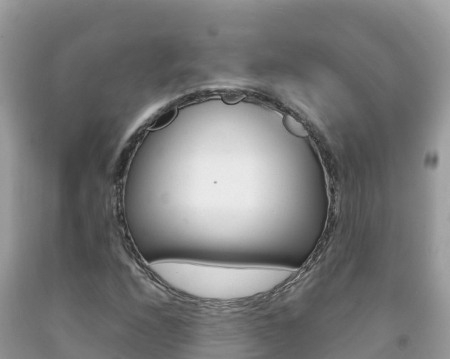 X0000092231208200709140935