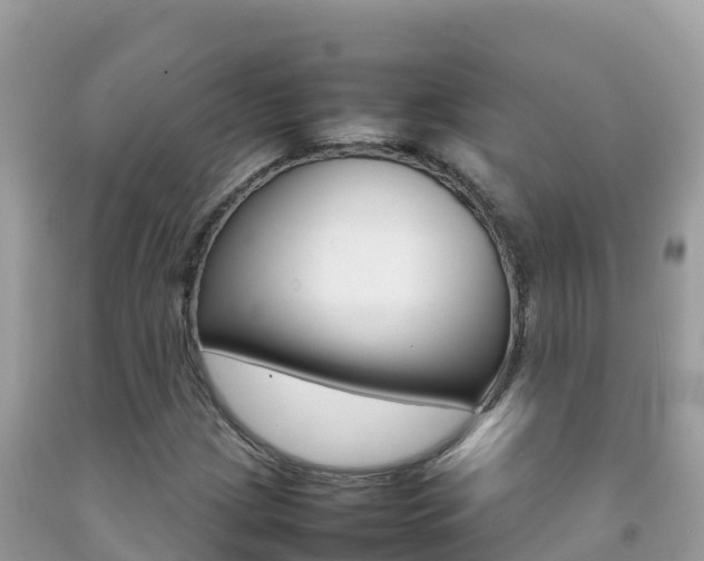 X0000092231209200709140935