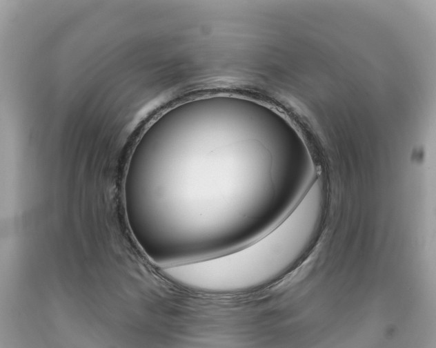 X0000092231210200709140935