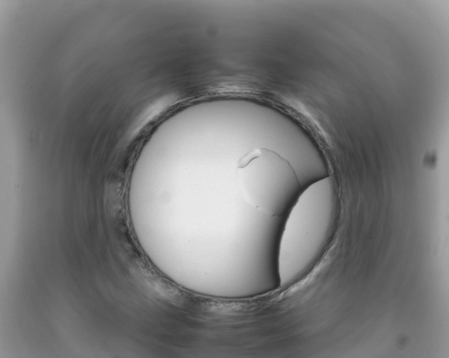 X0000092231211200709140935