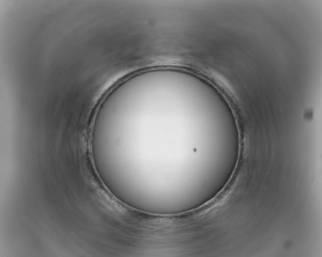X0000092231212200709140935
