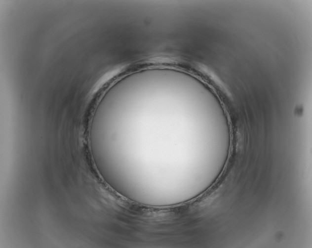 X0000092231213200709140935