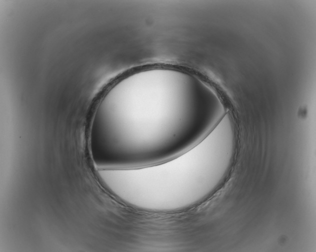 X0000092231214200709140935