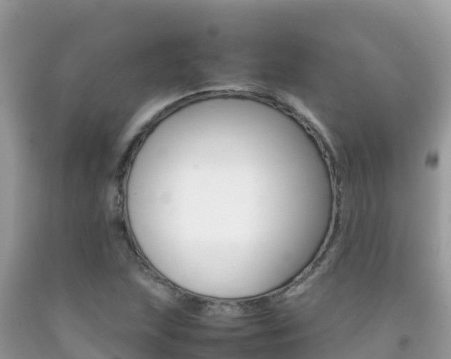X0000092231215200709140935