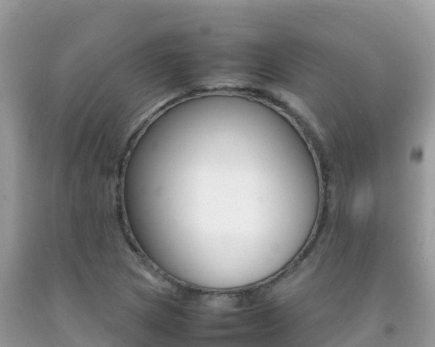 X0000092231217200709140935