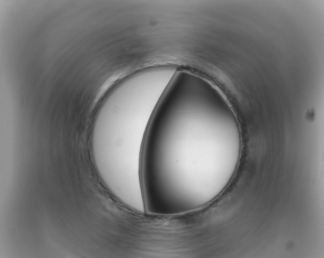 X0000092231218200709140935