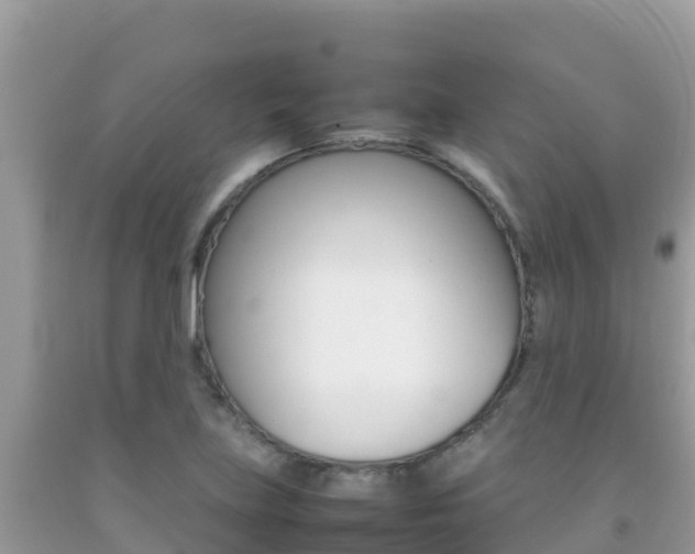 X0000092231219200709140935