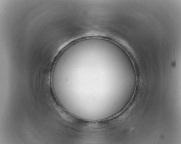 X0000092231220200709140935