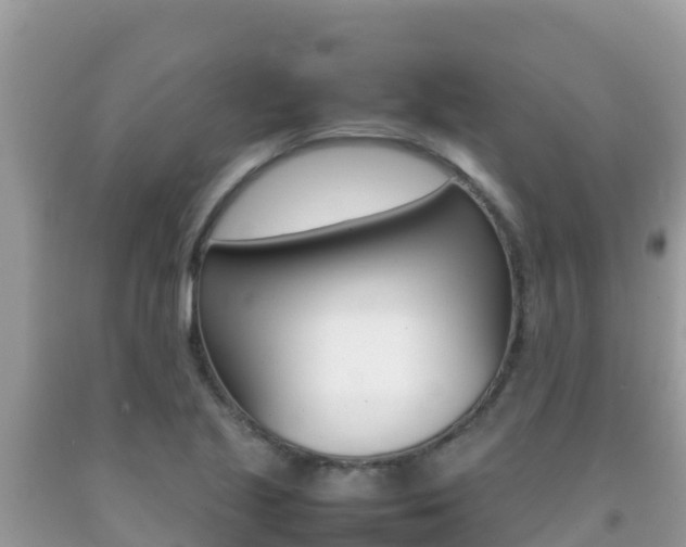X0000092231221200709140935