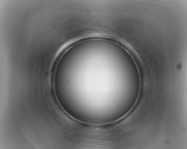 X0000092231222200709140935