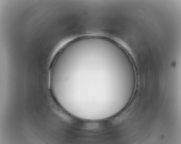 X0000092231223200709140935