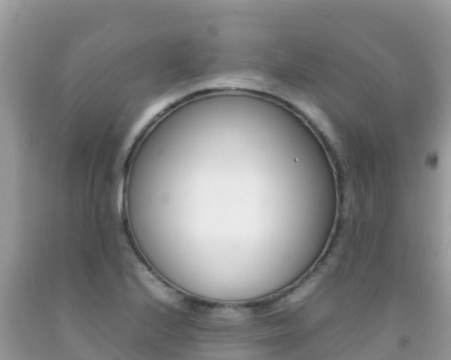 X0000092231224200709140935