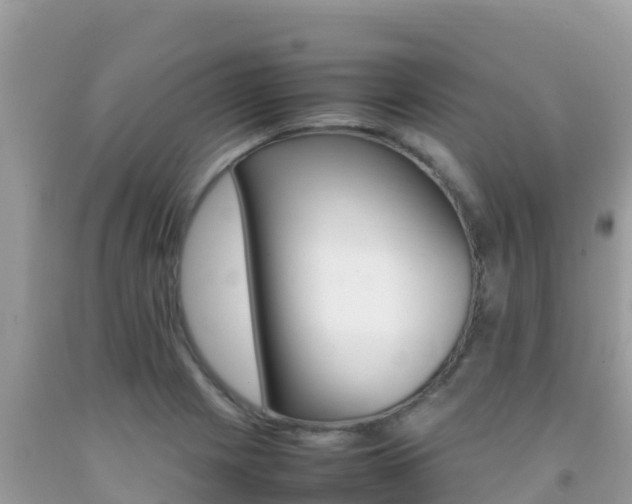 X0000092231225200709140935