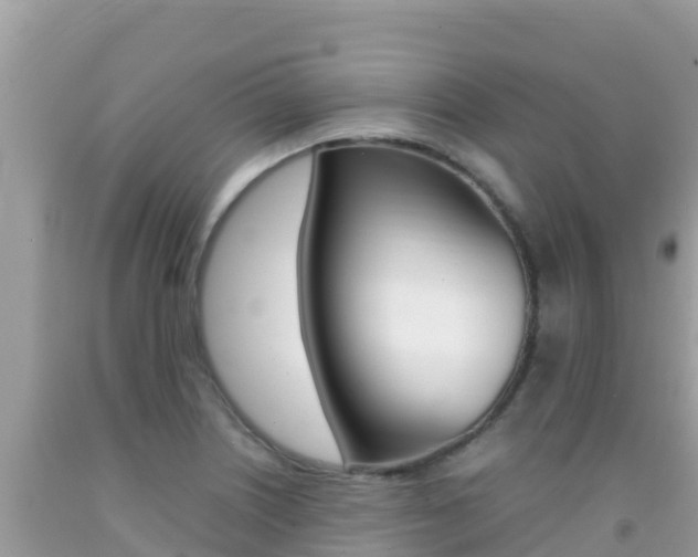 X0000092231226200709140935