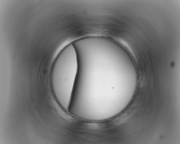 X0000092231227200709140935