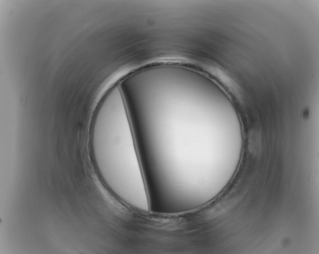X0000092231229200709140935