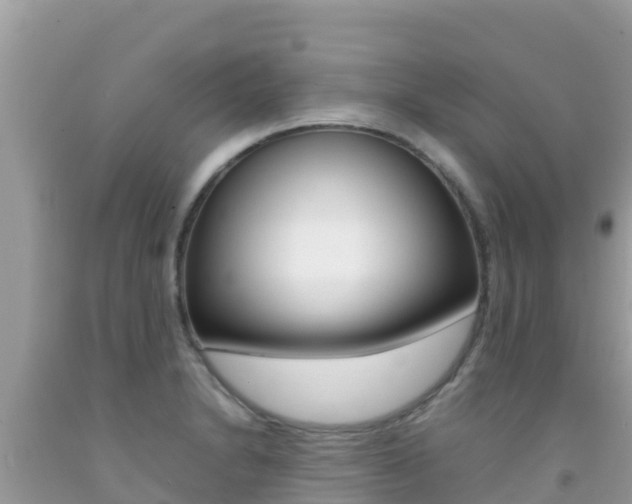 X0000092231230200709140935