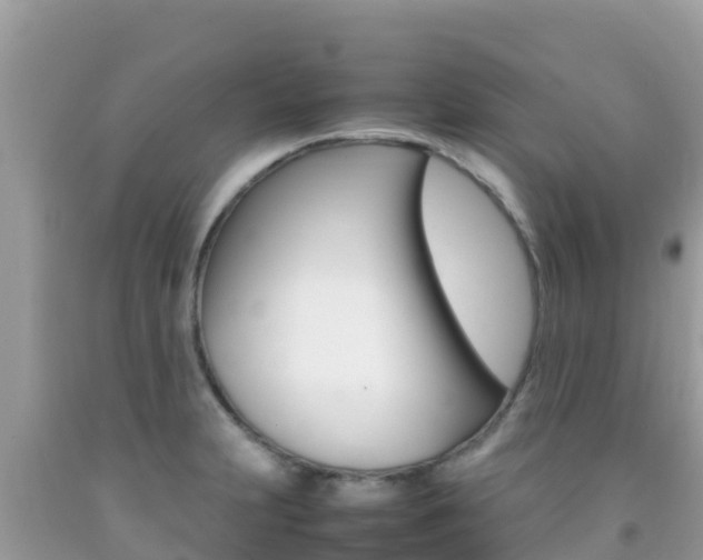 X0000092231231200709140935