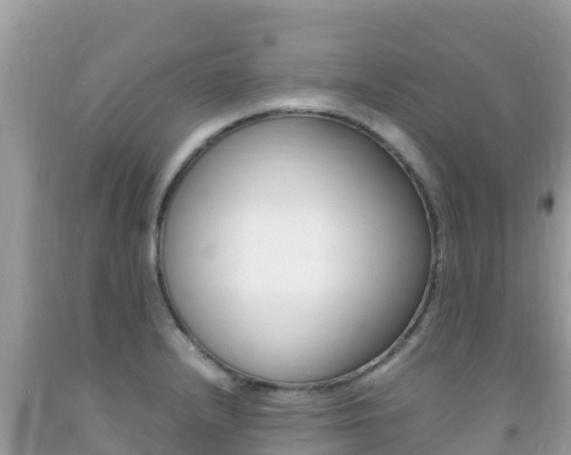 X0000092231232200709140935