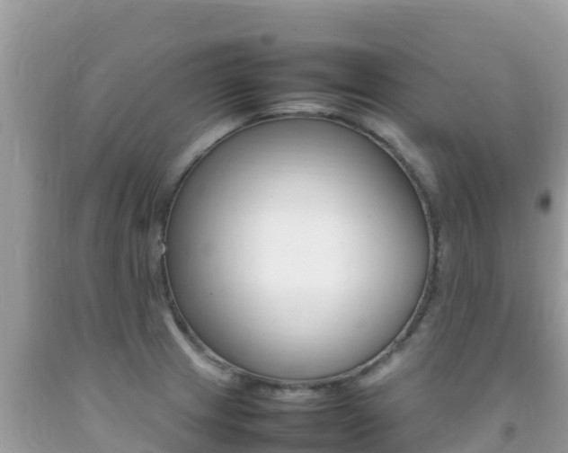 X0000092231233200709140935