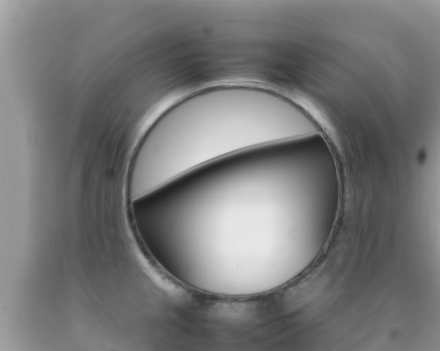 X0000092231237200709140935