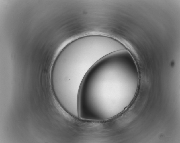 X0000092231238200709140935