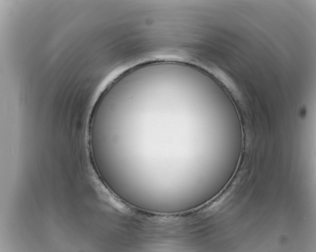 X0000092231240200709140935