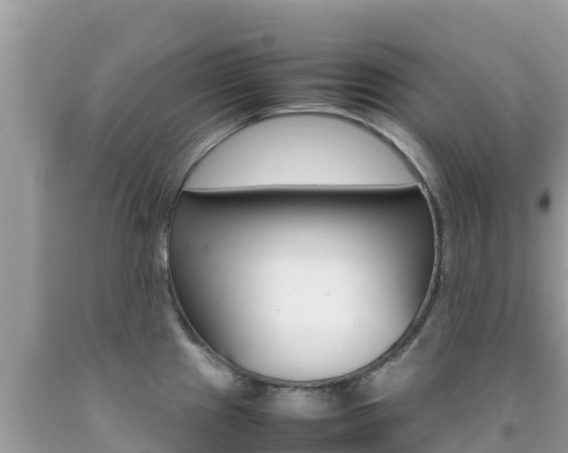 X0000092231241200709140935