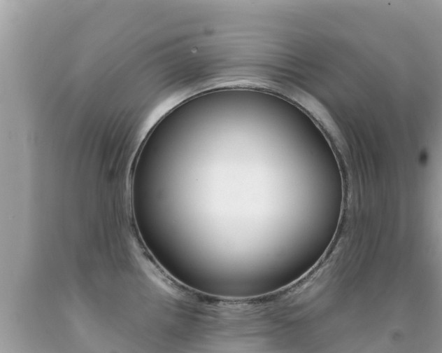 X0000092231242200709140935