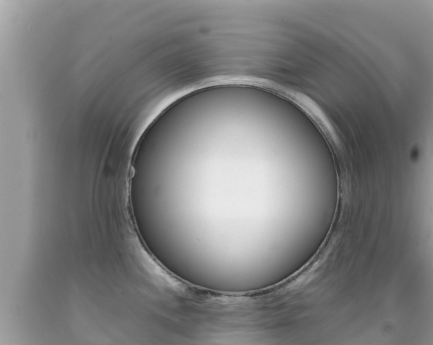 X0000092231244200709140935