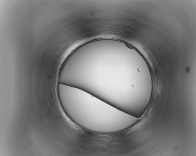 X0000092231245200709140935
