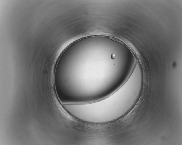 X0000092231246200709140935