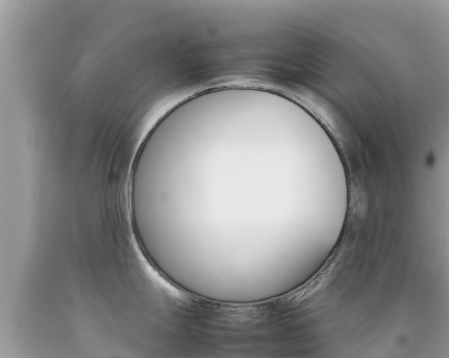 X0000092231247200709140935