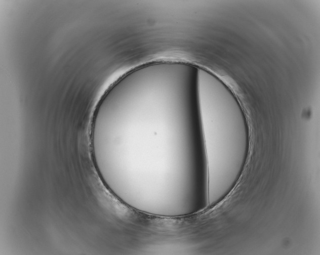X0000092231248200709140935