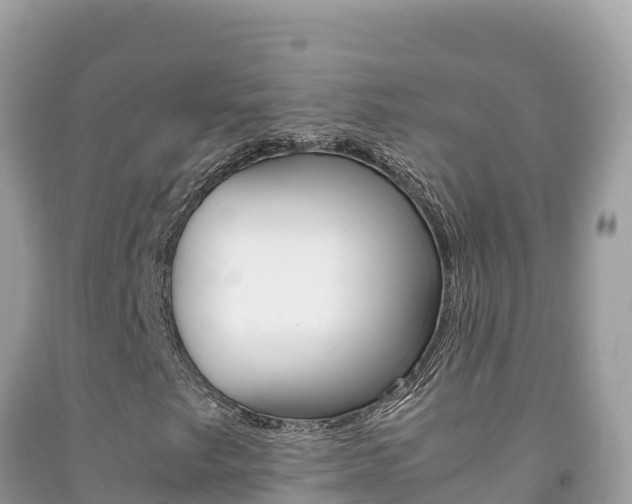 X0000092231249200709140935