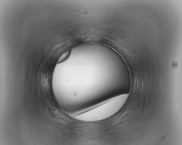 X0000092231250200709140935