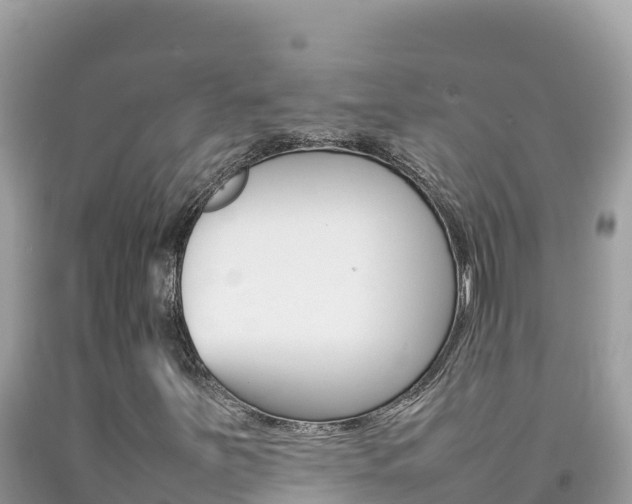 X0000092231251200709140935