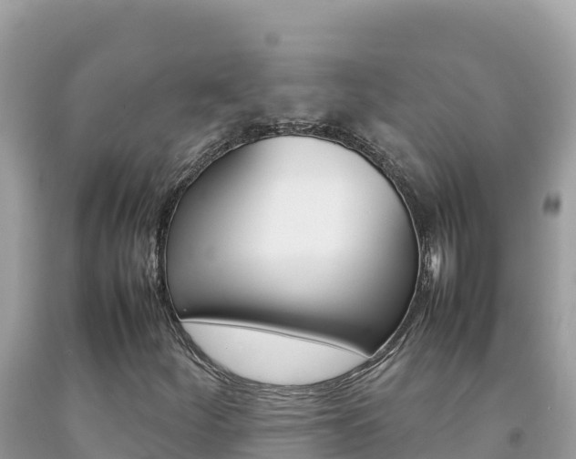 X0000092231252200709140935