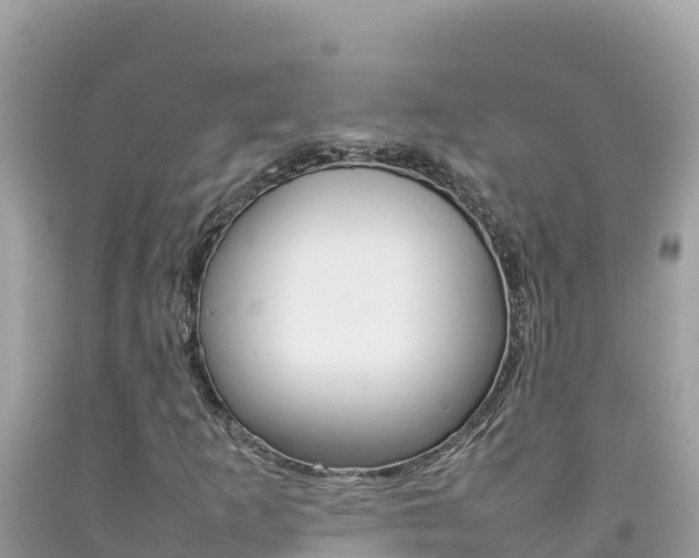 X0000092231253200709140935